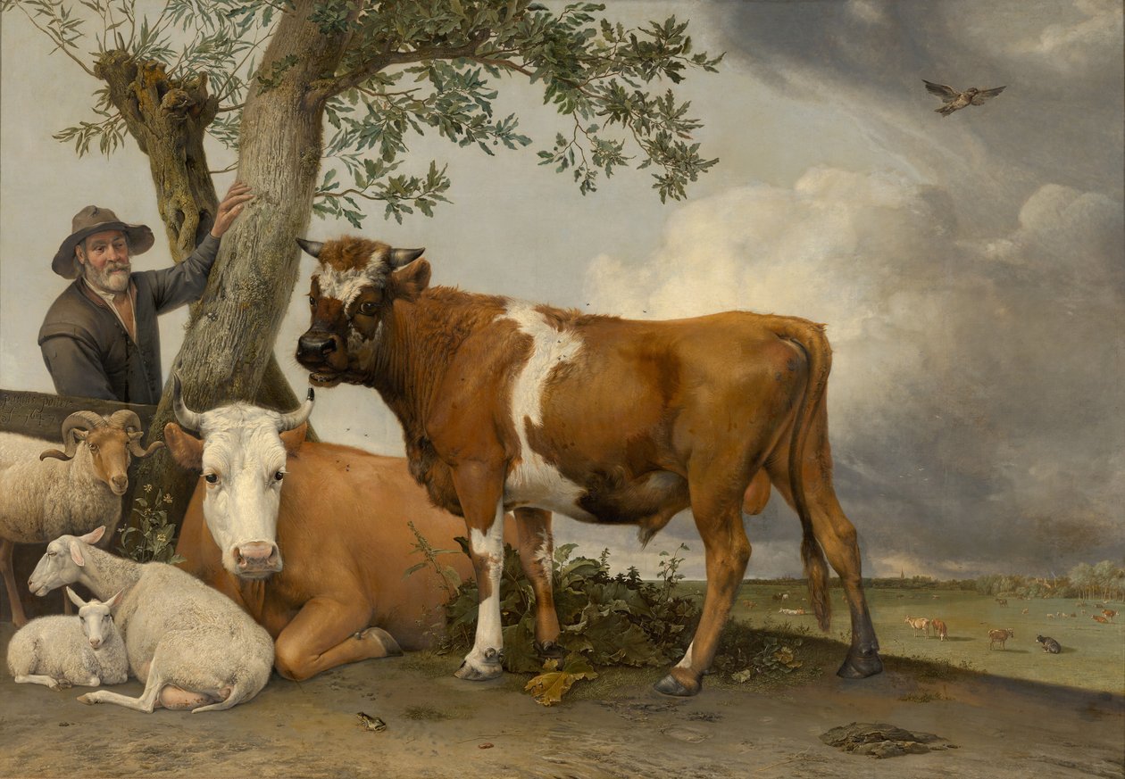 Býk, 1647 od Paulus Potter