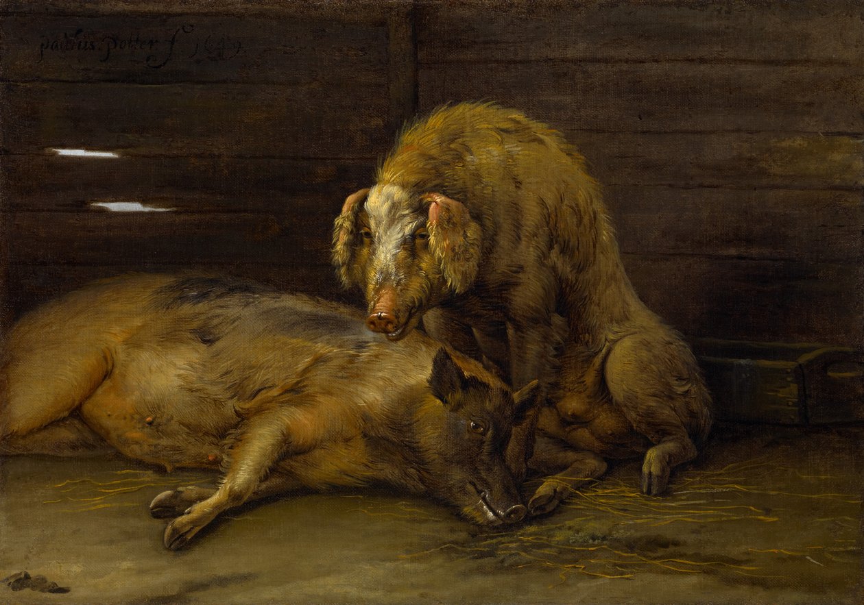 Dvě prasata v chlívku, 1649 od Paulus Potter
