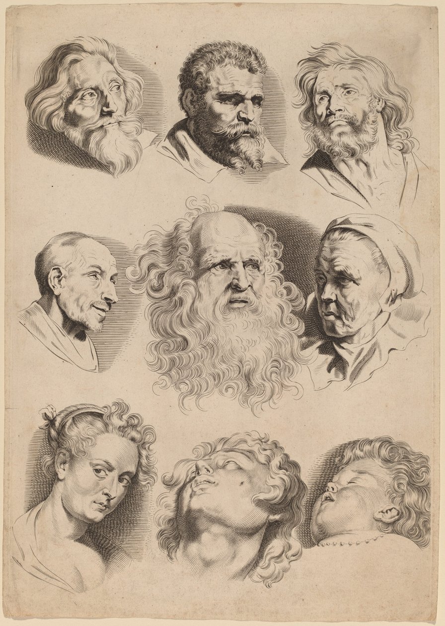 Devět hlav od Paulus Pontius after Sir Peter Paul Rubens