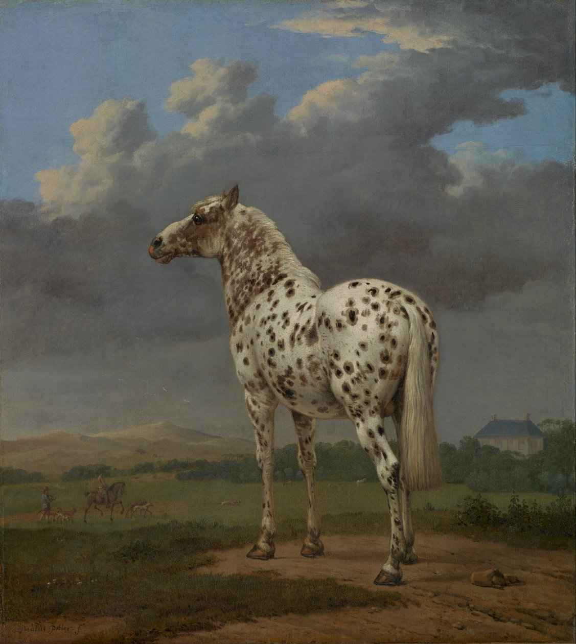 Piebald Horse, asi 1654 od Paulus Potter