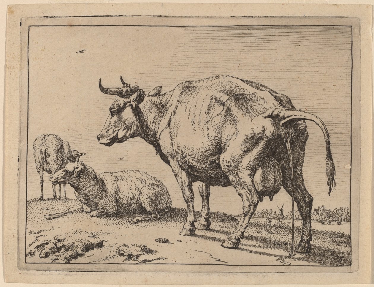 Pissing Cow od Paulus Potter