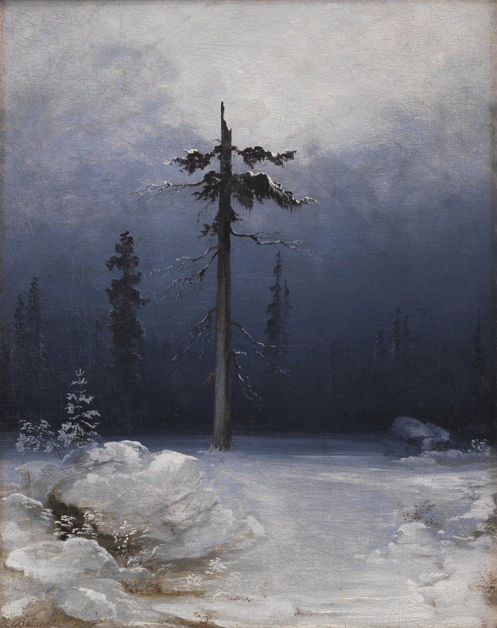 Strom v zimním lese od Peder Balke