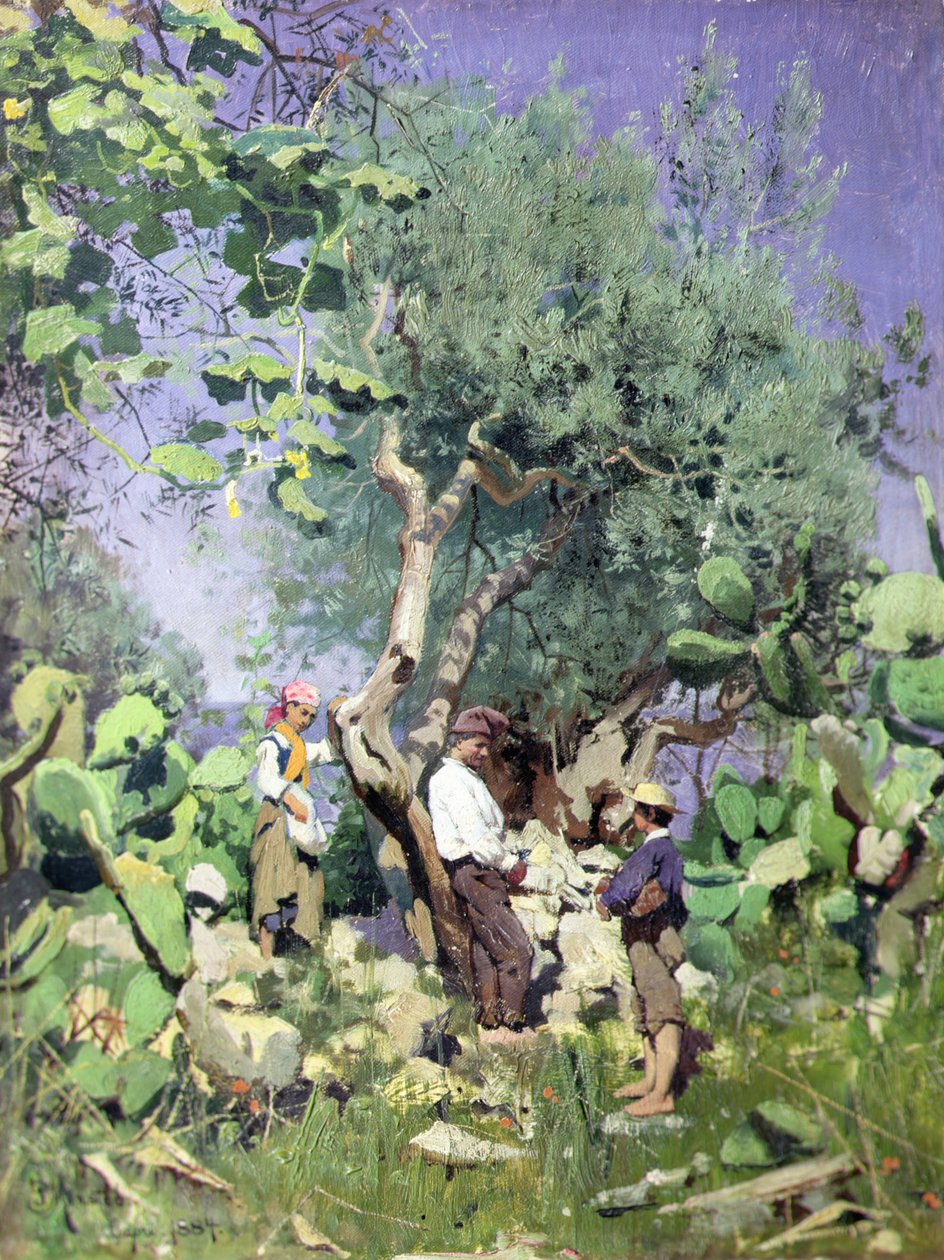 Sklizeň oliv od Peder Monsted