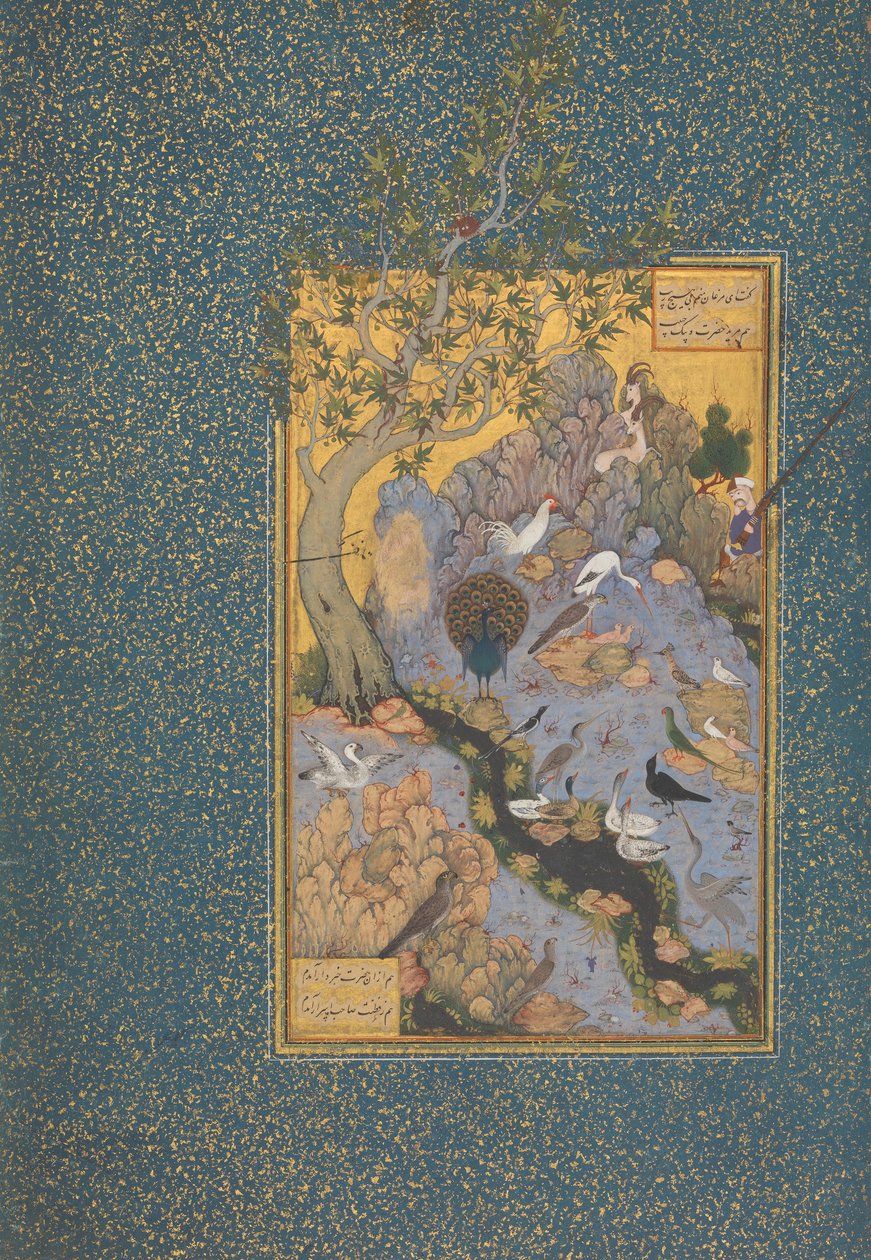 "The Concourse of the Birds", c.1600 od Persian School