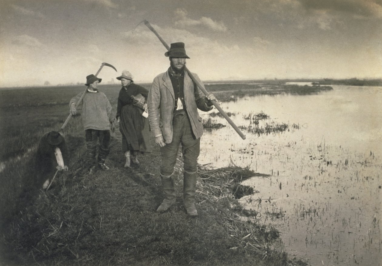 Cutting the Gladdon, Life and Landscape on Norfolk Broads, c.1886 od Peter Emerson und Thomas Goodall