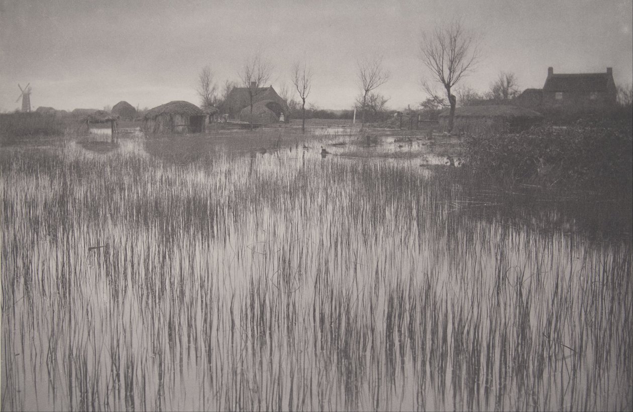 Rushy Shore, deska XXXV ze života a krajiny na Norfolk Broads od Peter Henry Emerson