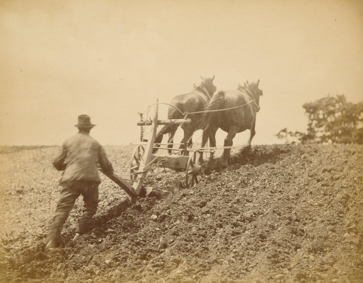 Tuhý tah od Peter Henry Emerson