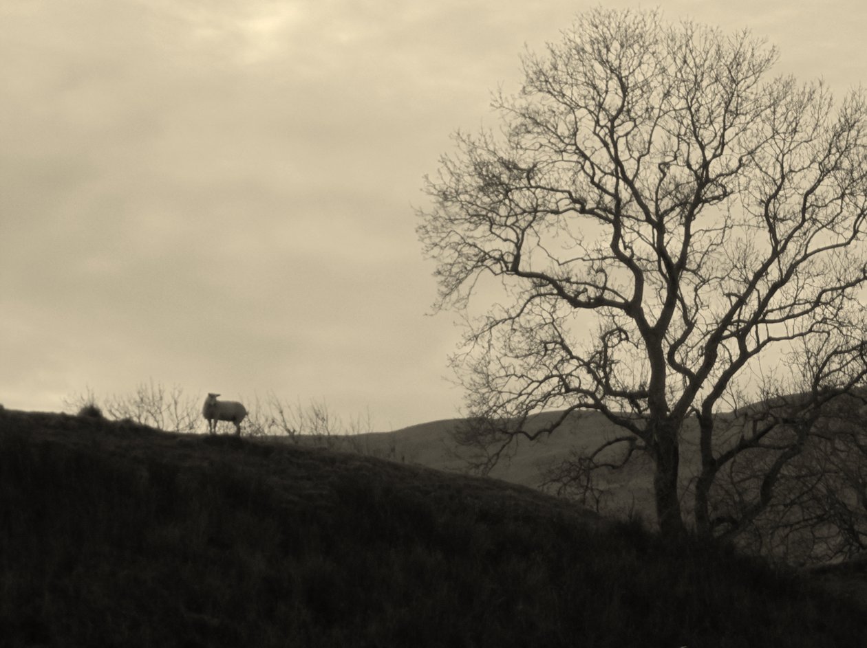 KINTYRE... PLUS.9 od Peter McClure
