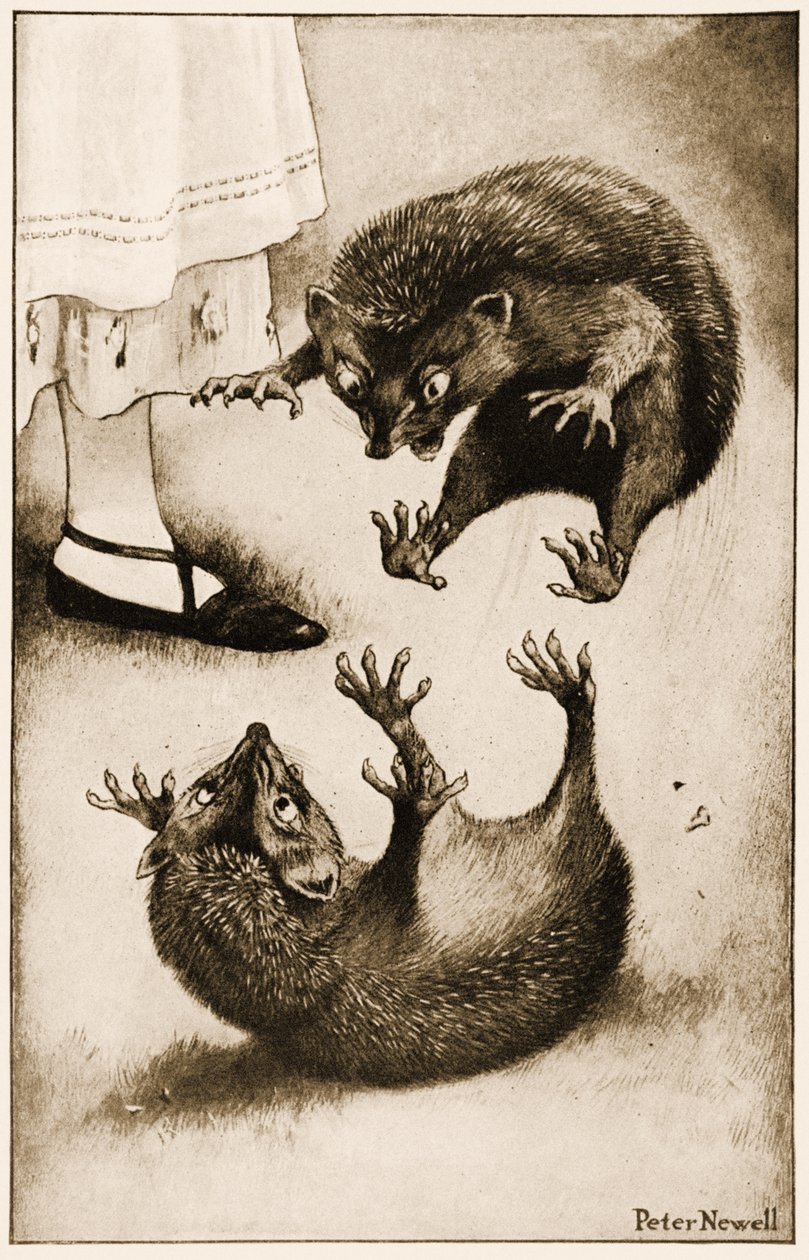„Ježek se rval s jiným ježkem“, ilustrace k Alence Dobrodružství v říši divů od Lewise Carrolla, 1901 od Peter Newell