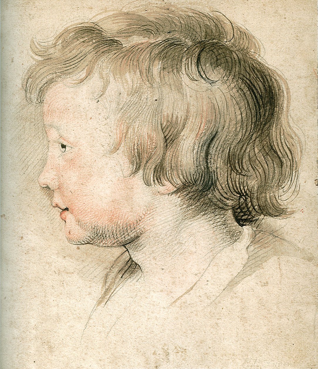 Albert Rubens od Peter Paul Rubens