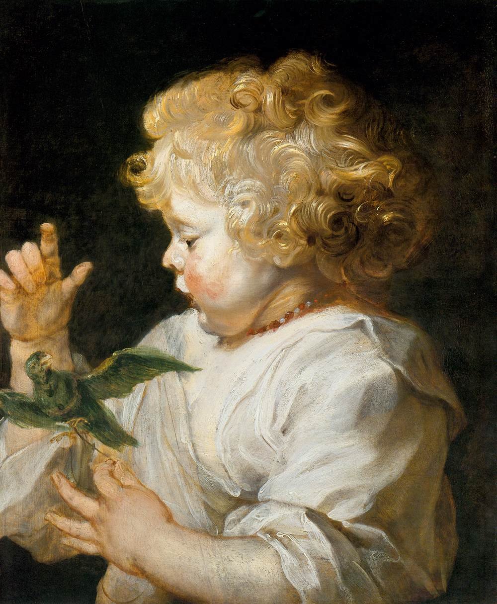 Chlapec s ptákem od Peter Paul Rubens