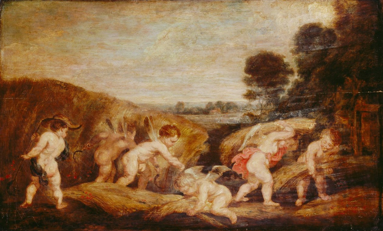 Sklizeň amorů od Peter Paul Rubens