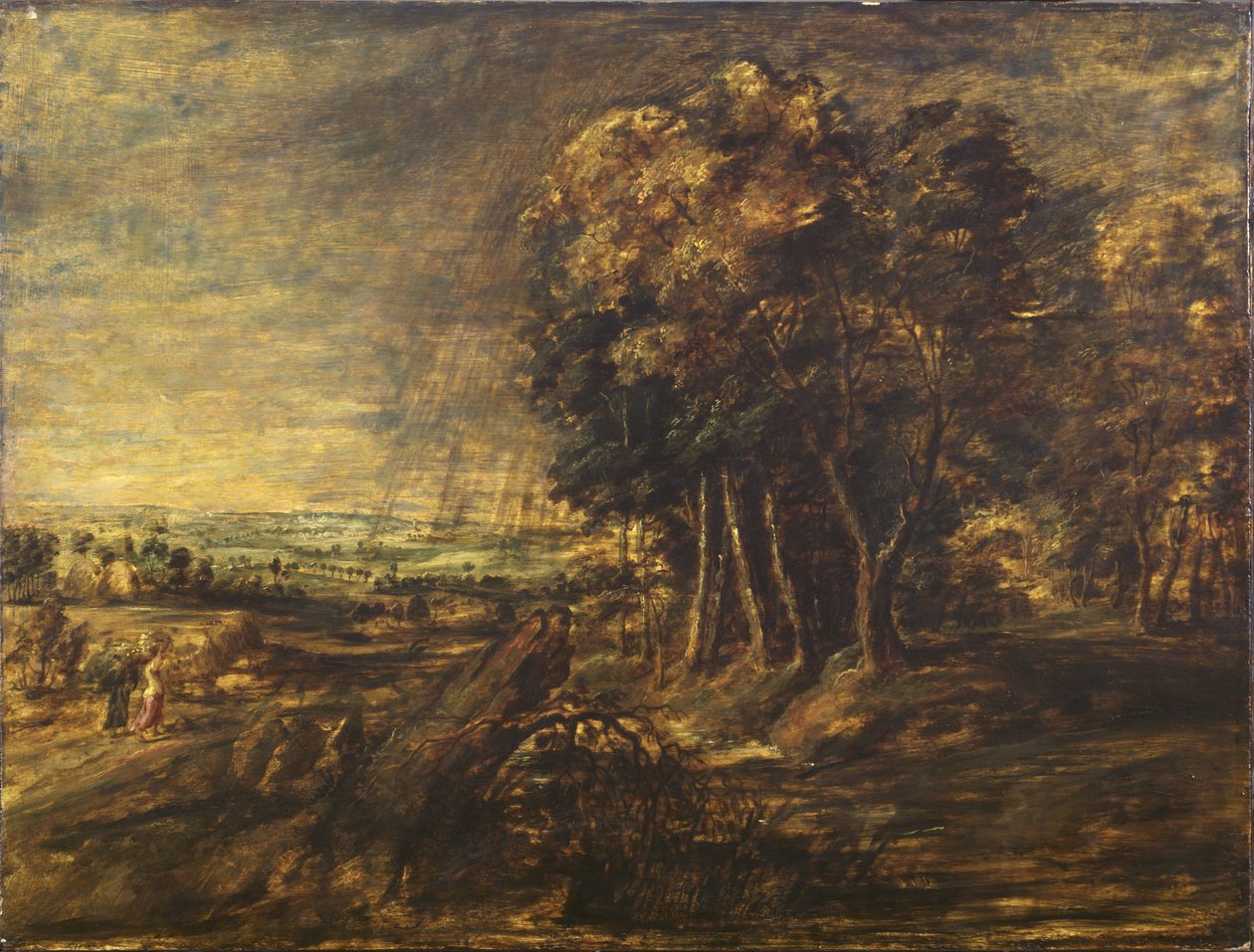 Krajina po bouři od Peter Paul Rubens