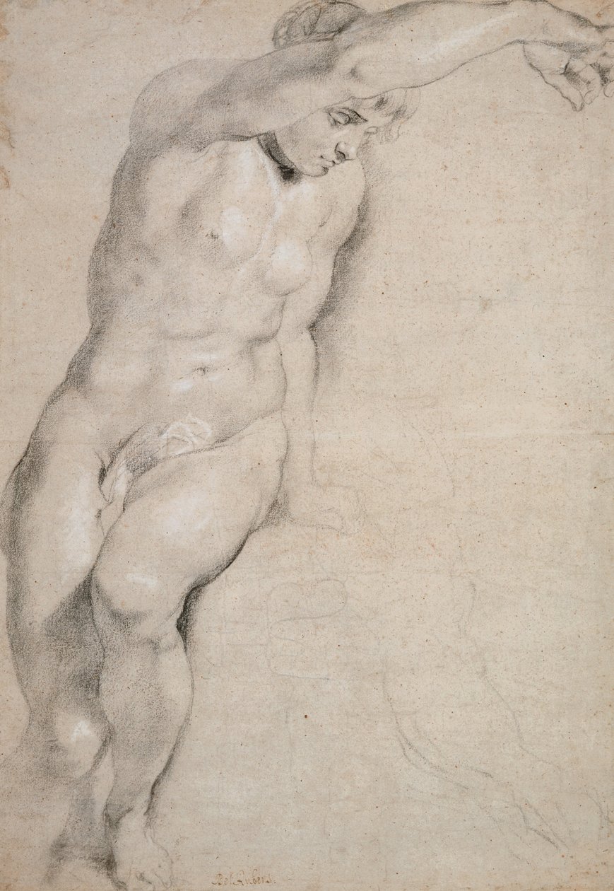 Psychika od Peter Paul Rubens