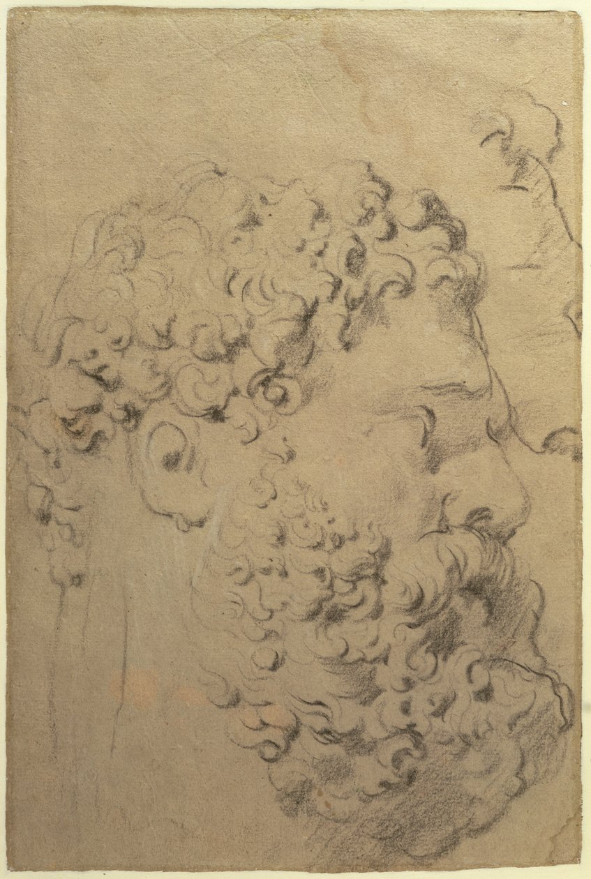 Studie hlavy a profilu Farnese Hercules od Glycon, verso, 1606-08 (černobílá křída na papíře) od Peter Paul Rubens