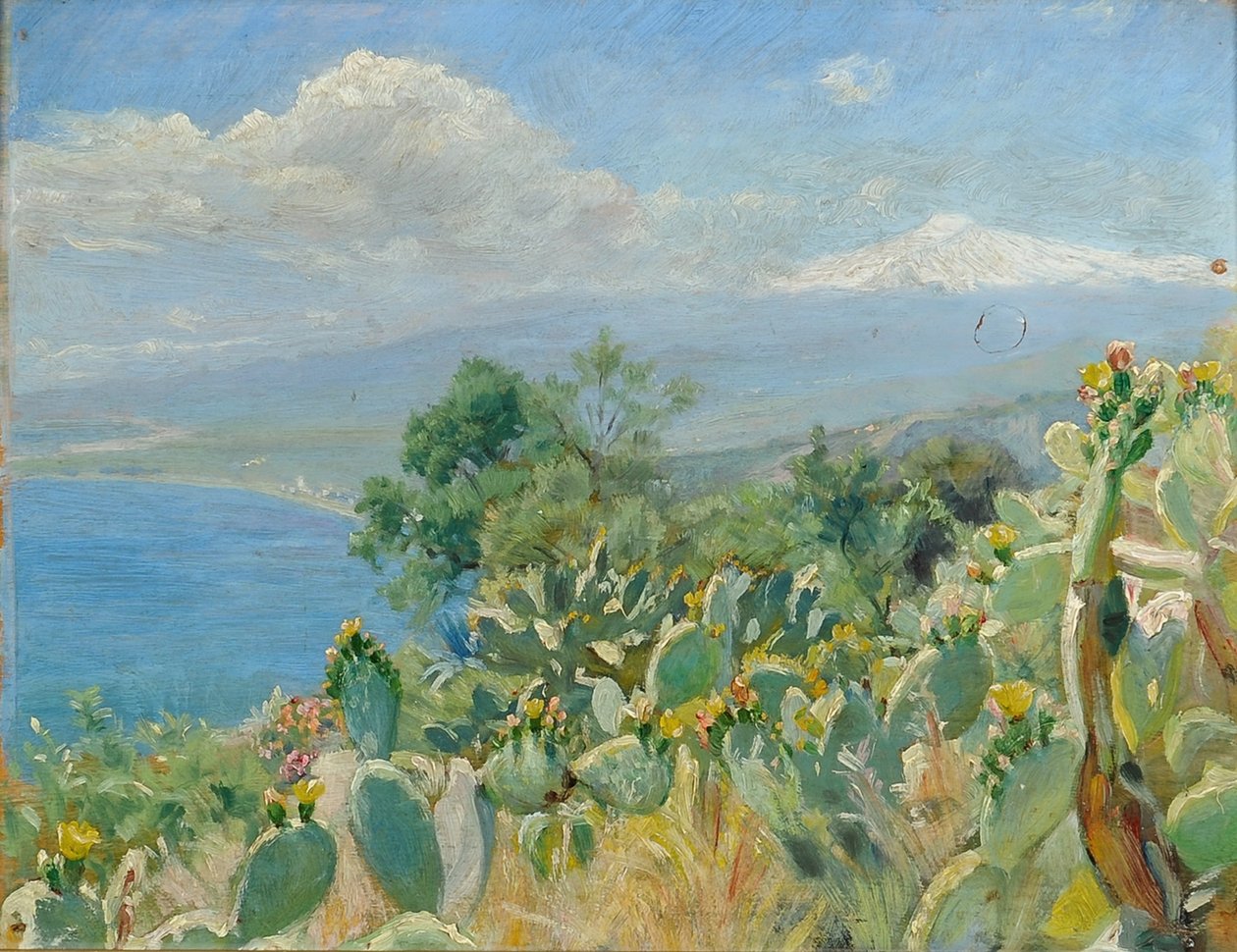 Rozkvetlé kaktusy poblíž Toarminy od Peder Severin Krøyer