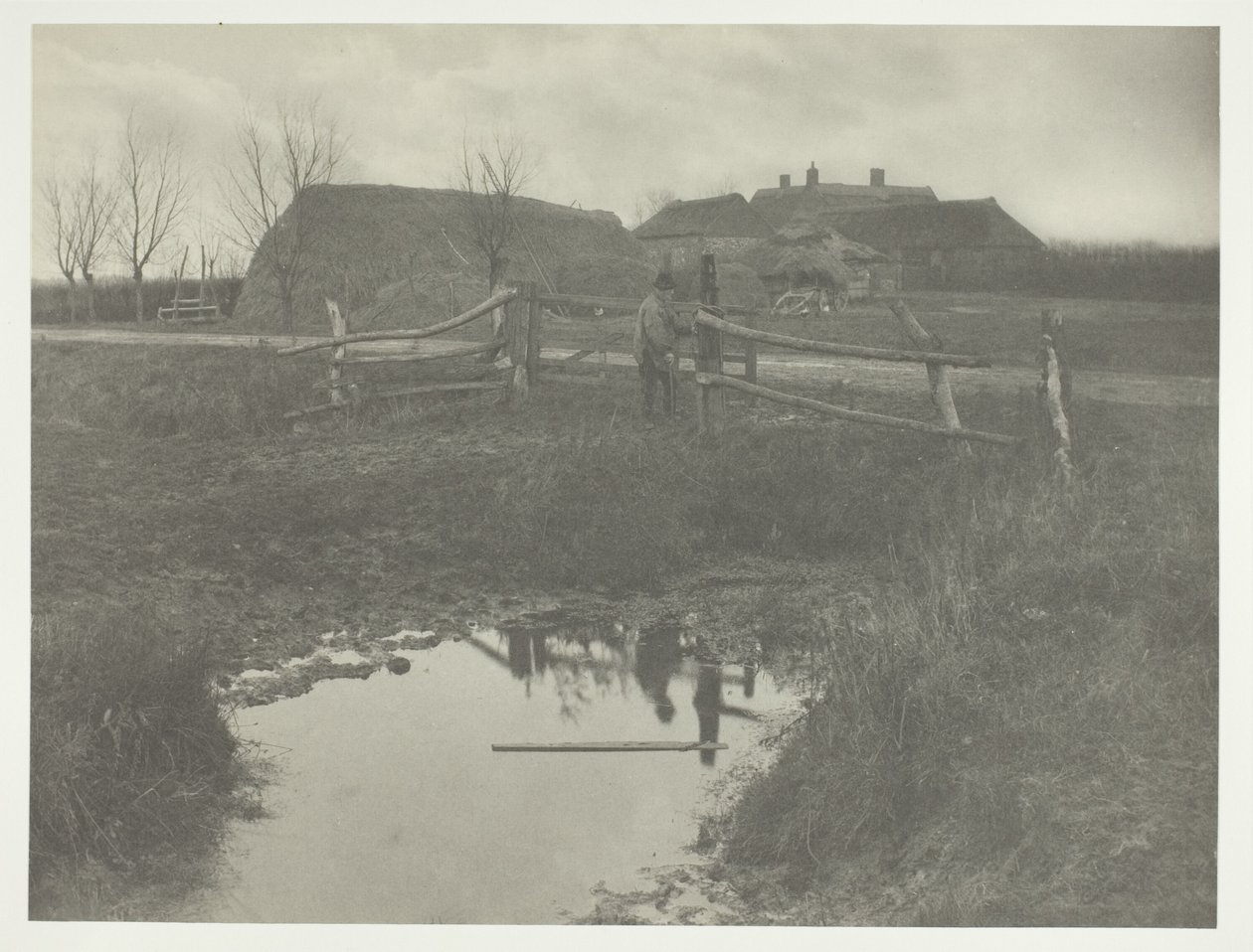 Farma A Marsh od Peter Henry Emerson