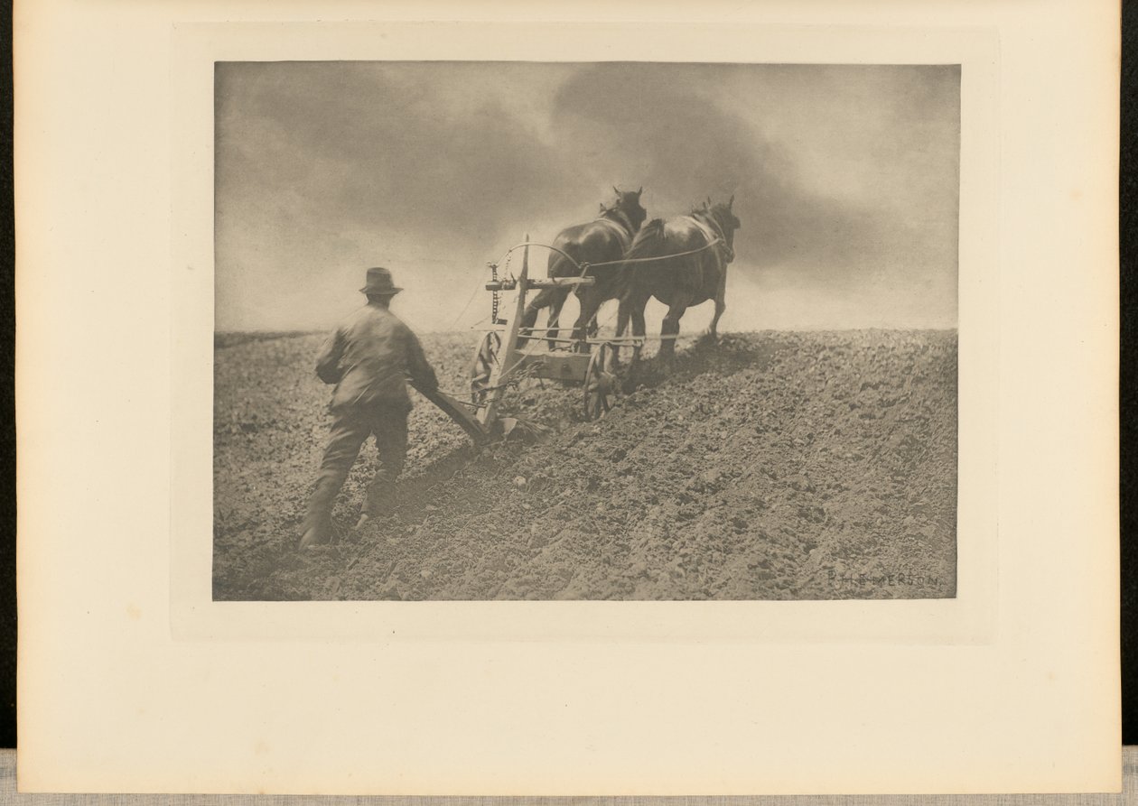 Tuhý tah. [Suffolk.] od Peter Henry Emerson