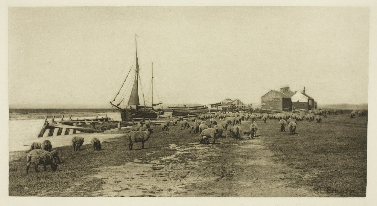 Blackshore, River Blythe (Suffolk) od Peter Henry Emerson