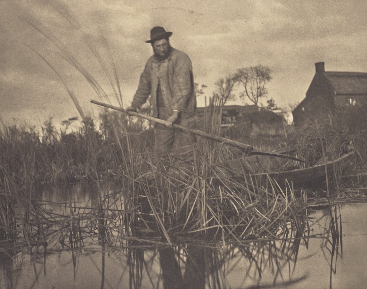 Řezání Gladdonu od Peter Henry Emerson