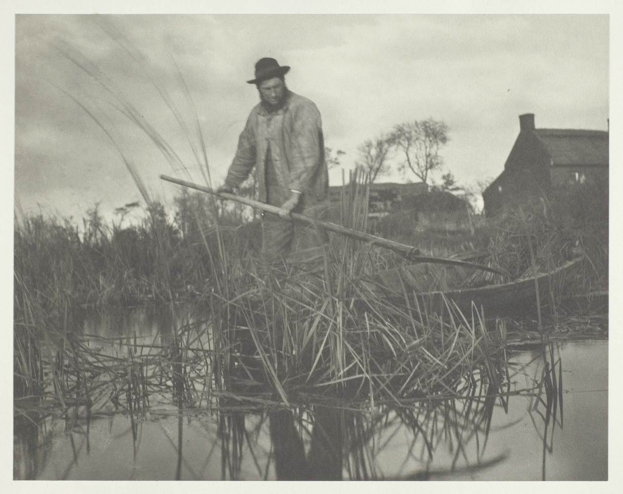Řezání Gladdonu od Peter Henry Emerson