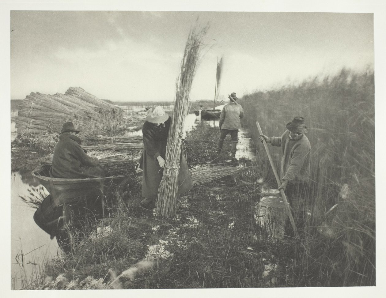 Během sklizně rákosu od Peter Henry Emerson