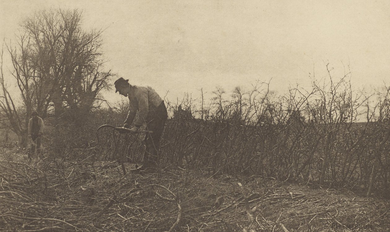 Oplocení v Suffolku od Peter Henry Emerson