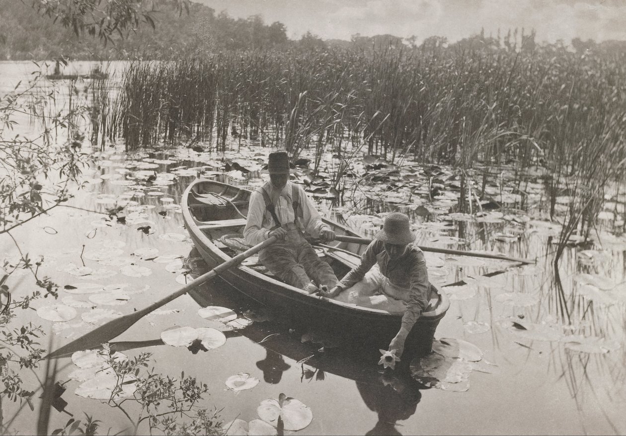 Shromažďování leknínů od Peter Henry Emerson