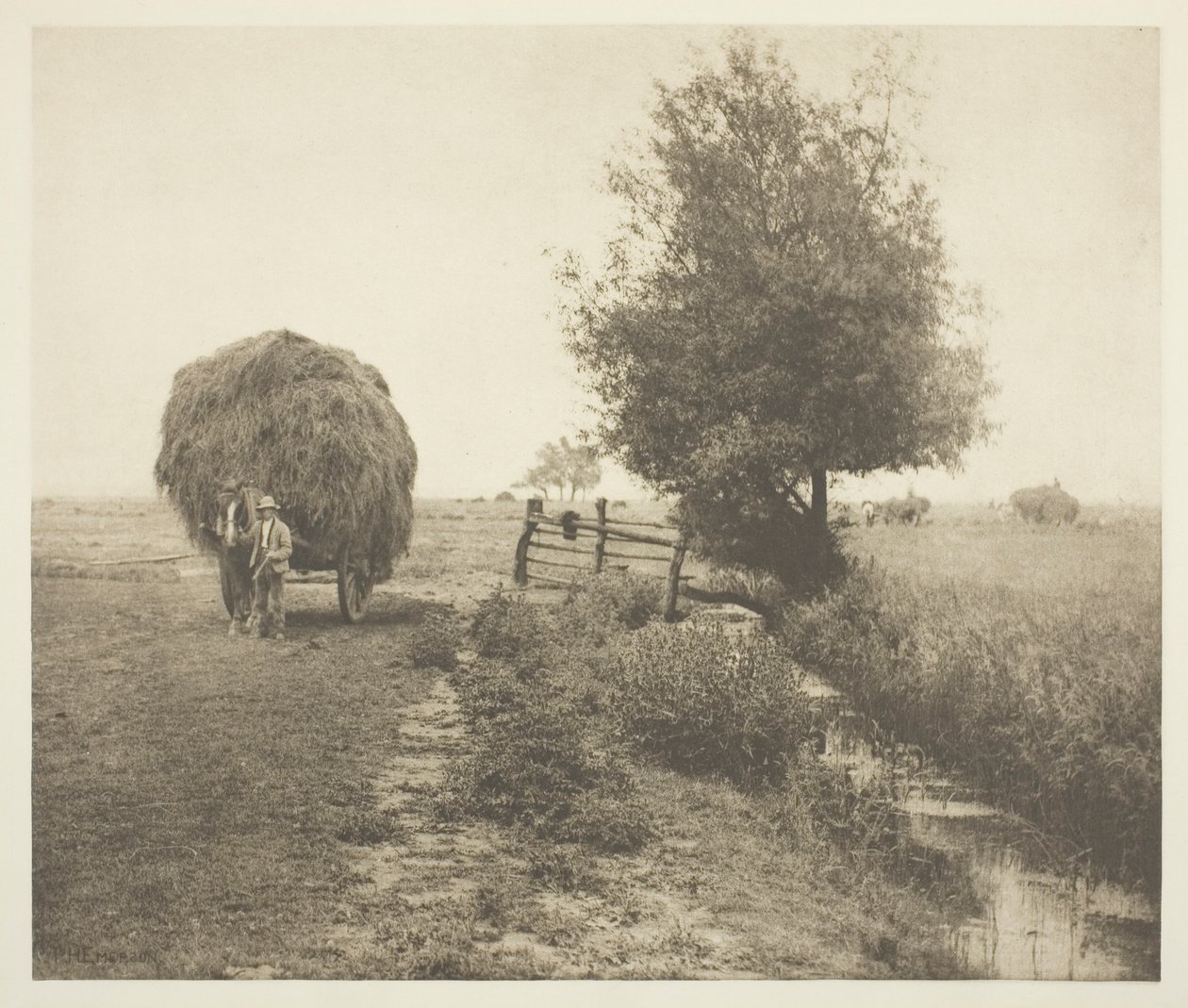 V Haysel (Norfolk) od Peter Henry Emerson