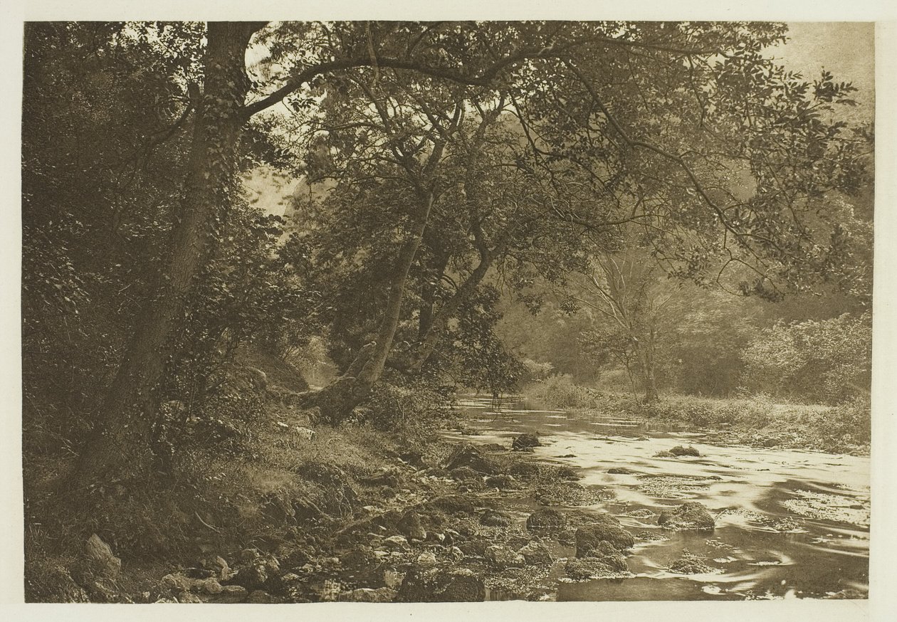Poblíž Reynardova jeskyně, Dove Dale od Peter Henry Emerson