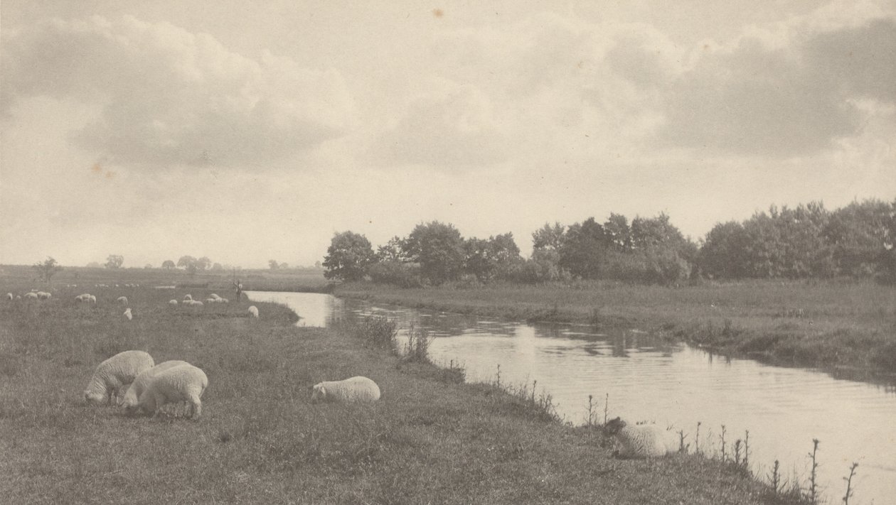 Na řece Bure, 1886 (foto) od Peter Henry Emerson