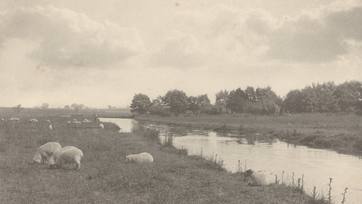 Na řece Bure od Peter Henry Emerson