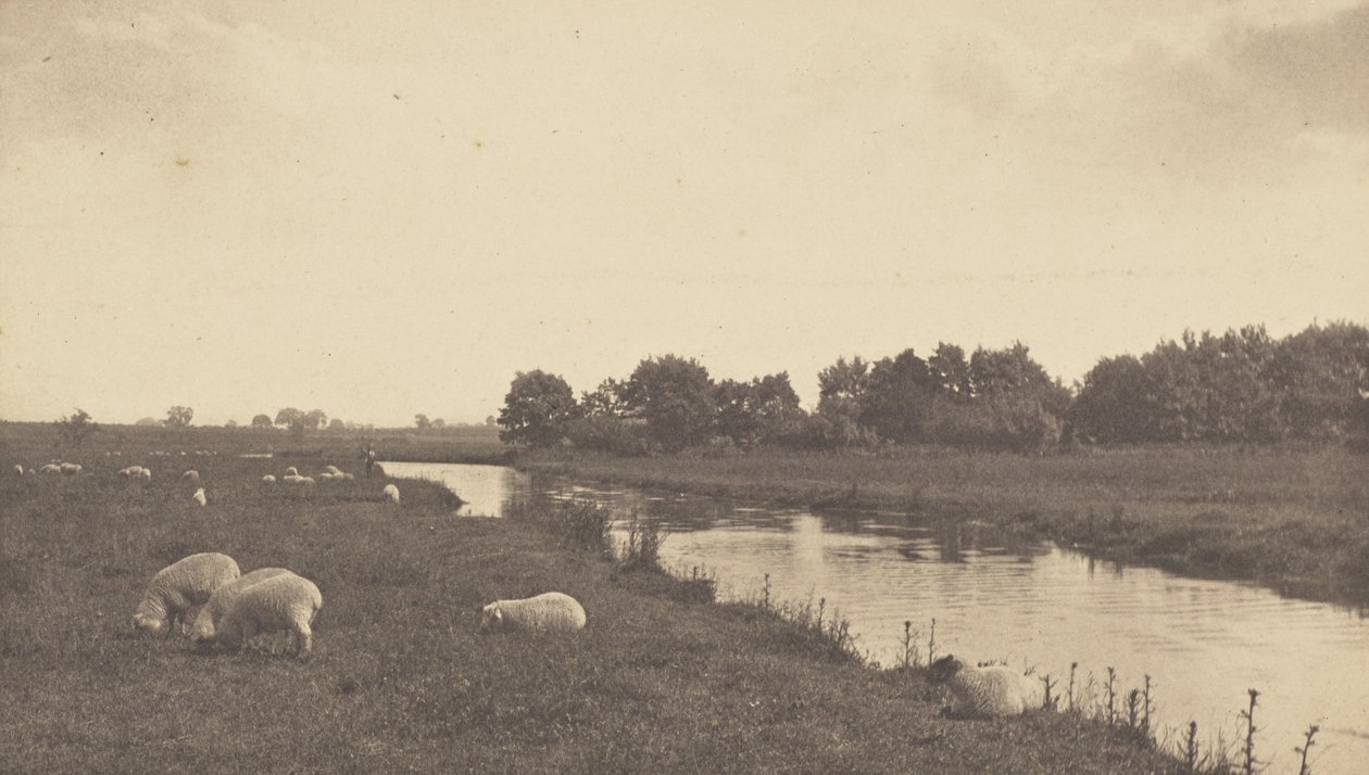 Na řece Bure od Peter Henry Emerson