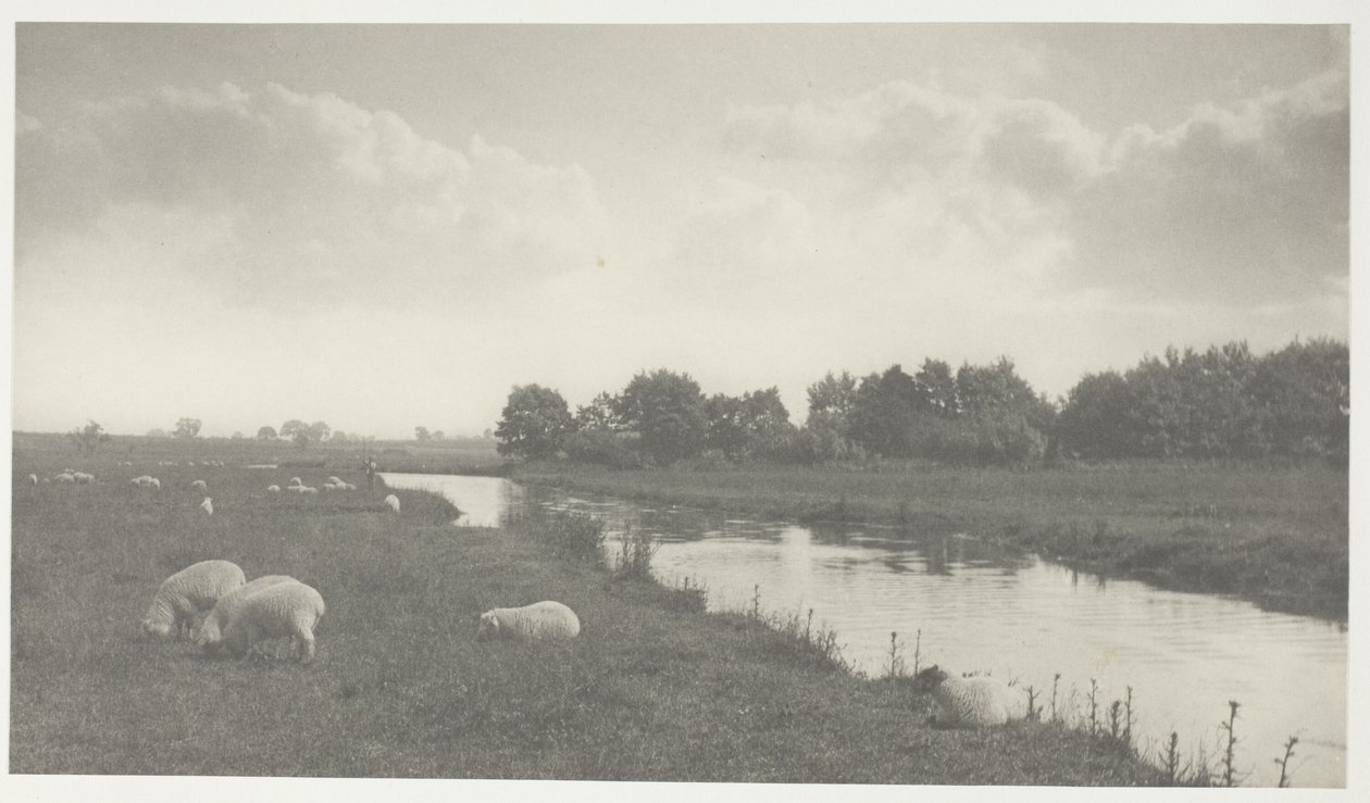 Na řece Bure od Peter Henry Emerson