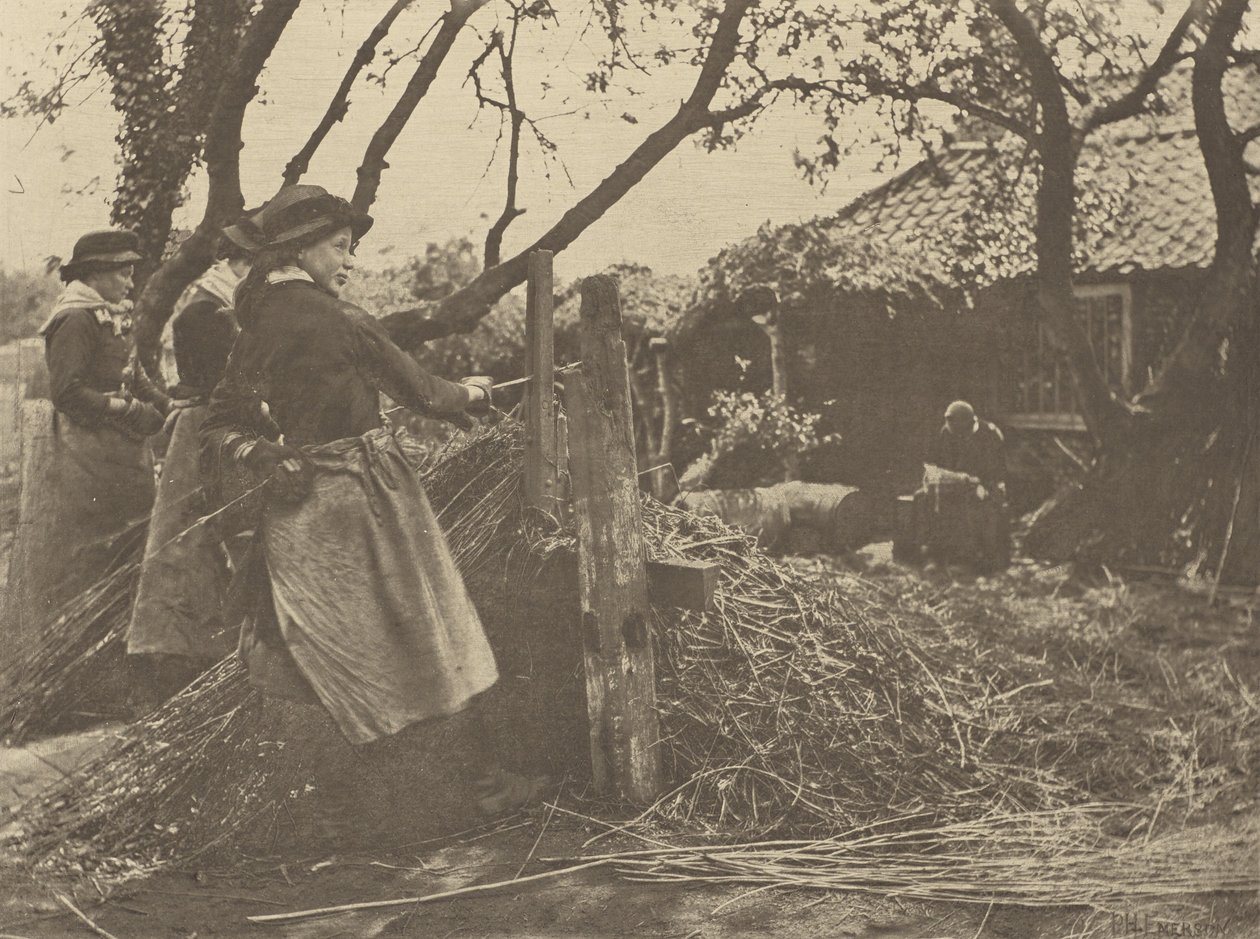 Osier  odlupování. [Norfolk]]. od Peter Henry Emerson