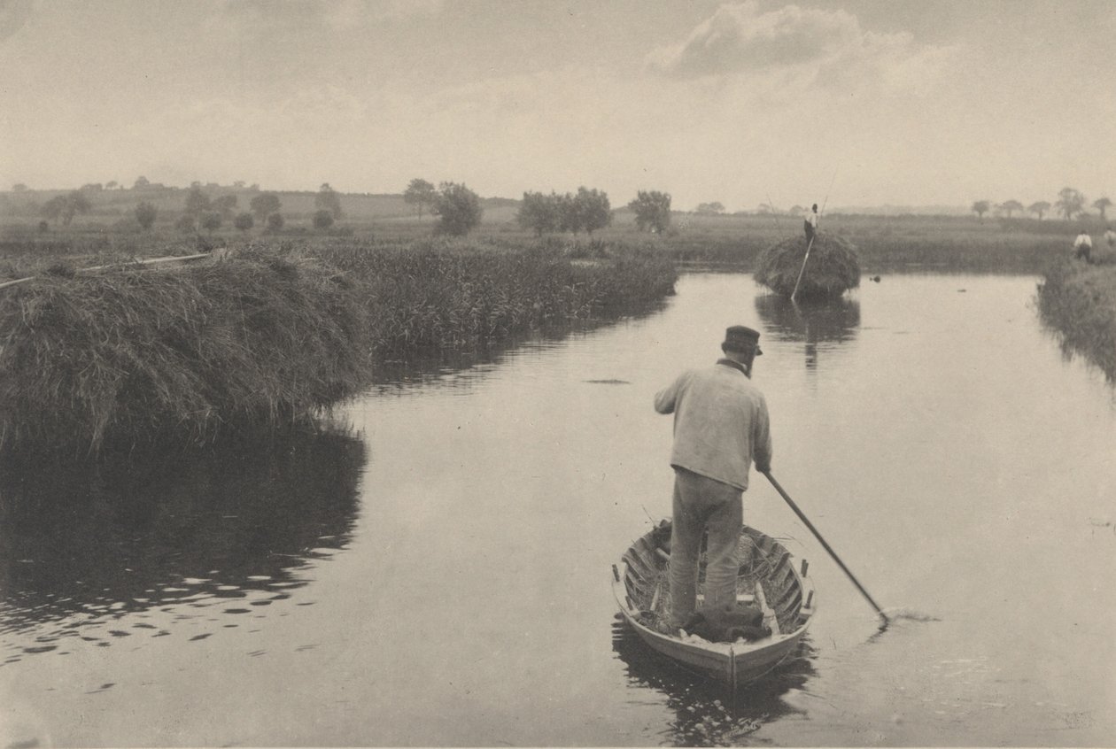 Kvantování Marsh Hay od Peter Henry Emerson