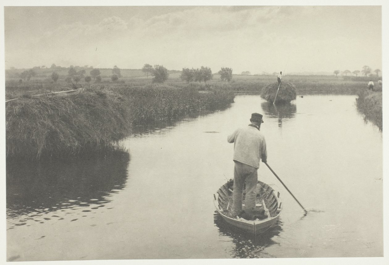 Množství sena z bažin od Peter Henry Emerson