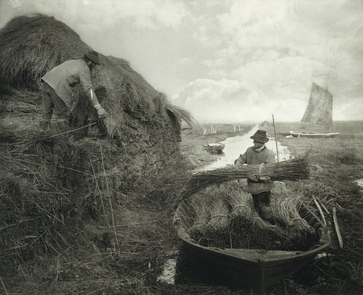 Ricking the Reed, cca 1885 (platinový tisk) od Peter Henry Emerson