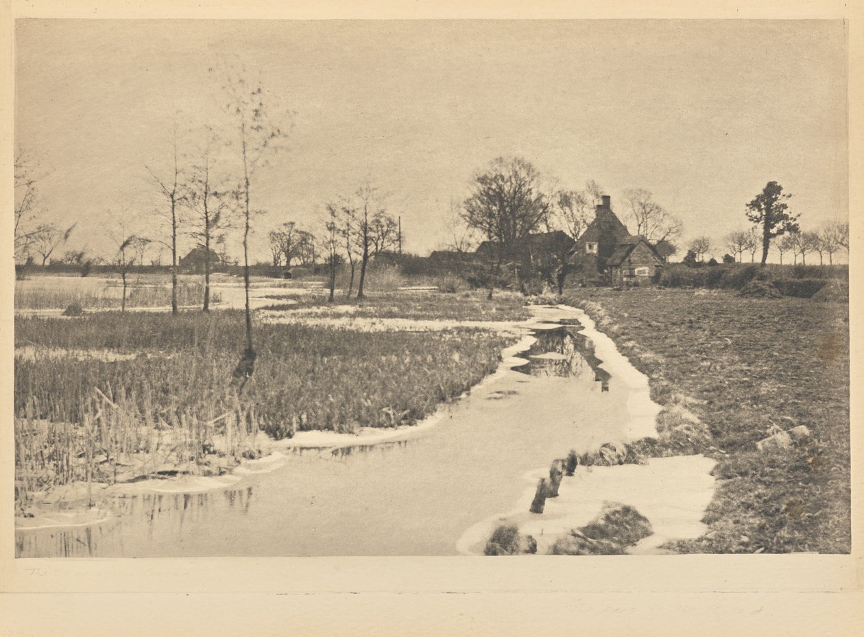 [The Edge of the Broad] od Peter Henry Emerson