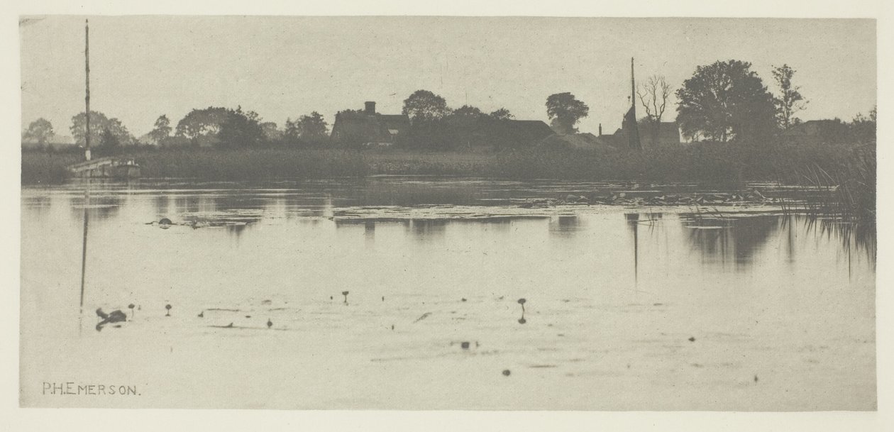 The Fringe of the Mere od Peter Henry Emerson