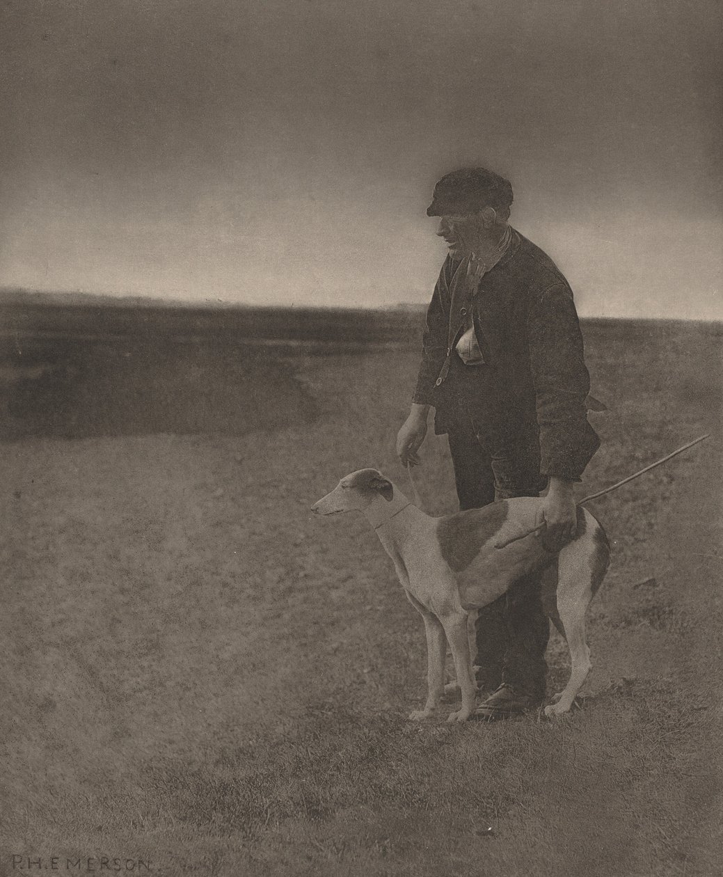 Zajíc Pytlák v pohledu od Peter Henry Emerson