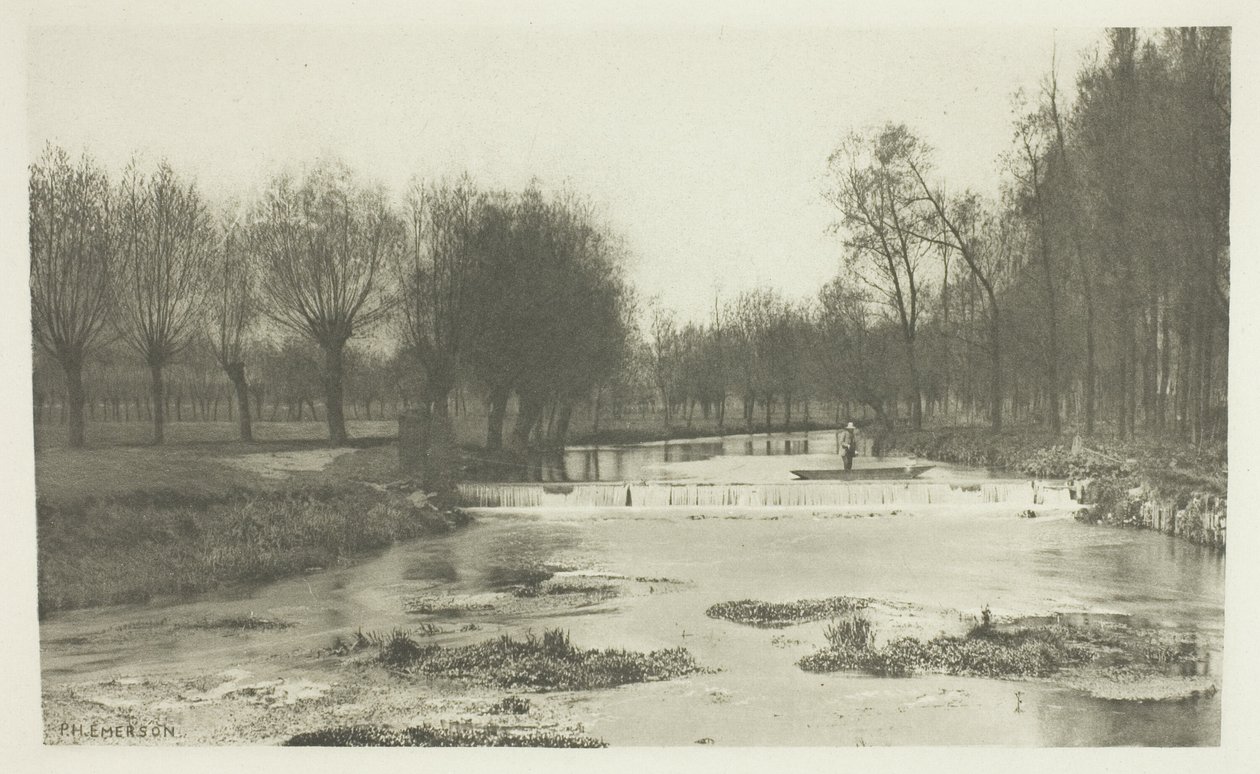 The Shoot, Amwell Magna Fishery od Peter Henry Emerson