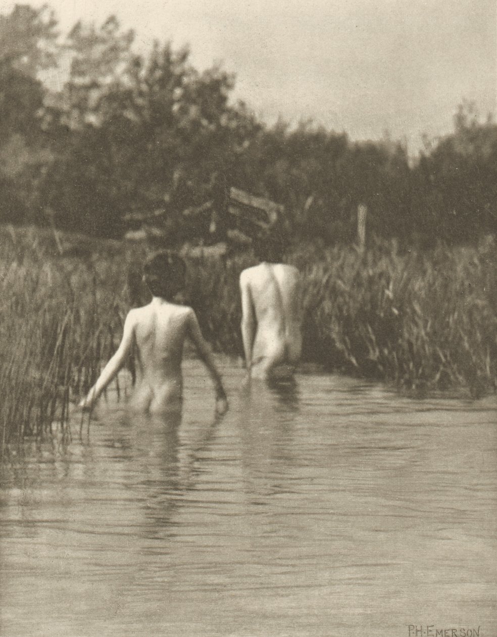 Water-Babies od Peter Henry Emerson