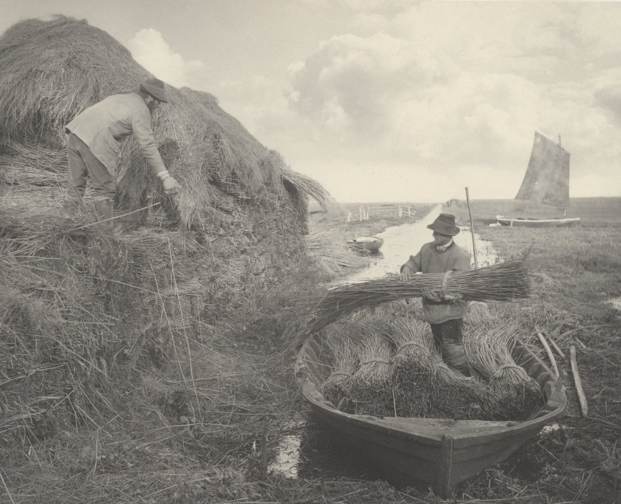 Ricking the Reed od Peter Henry Emerson and T.F. Goodall