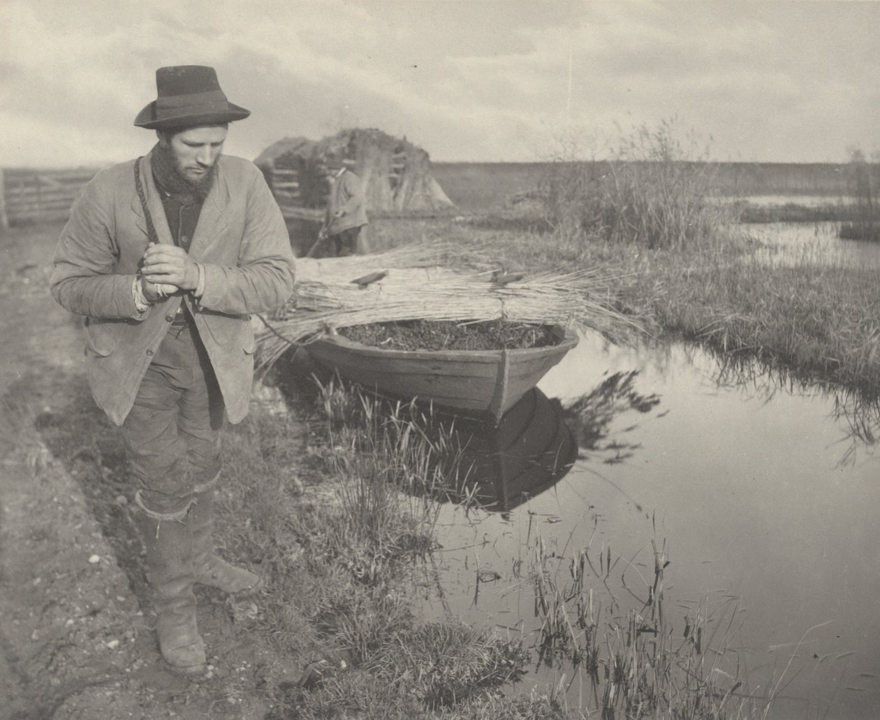 Tažení rákosu od Peter Henry Emerson and T.F. Goodall