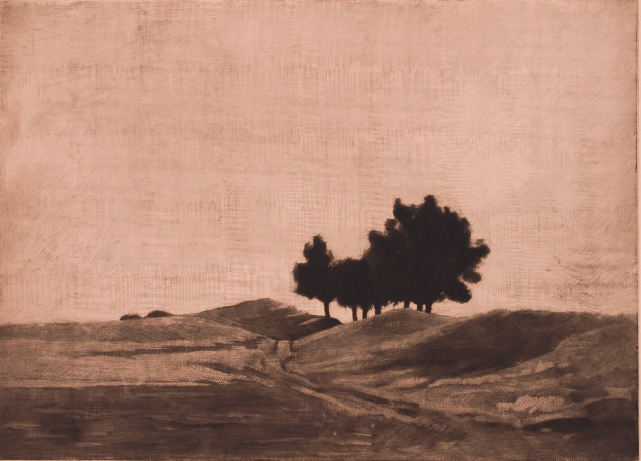 Večerní krajina od Peter Vilhelm Ilsted