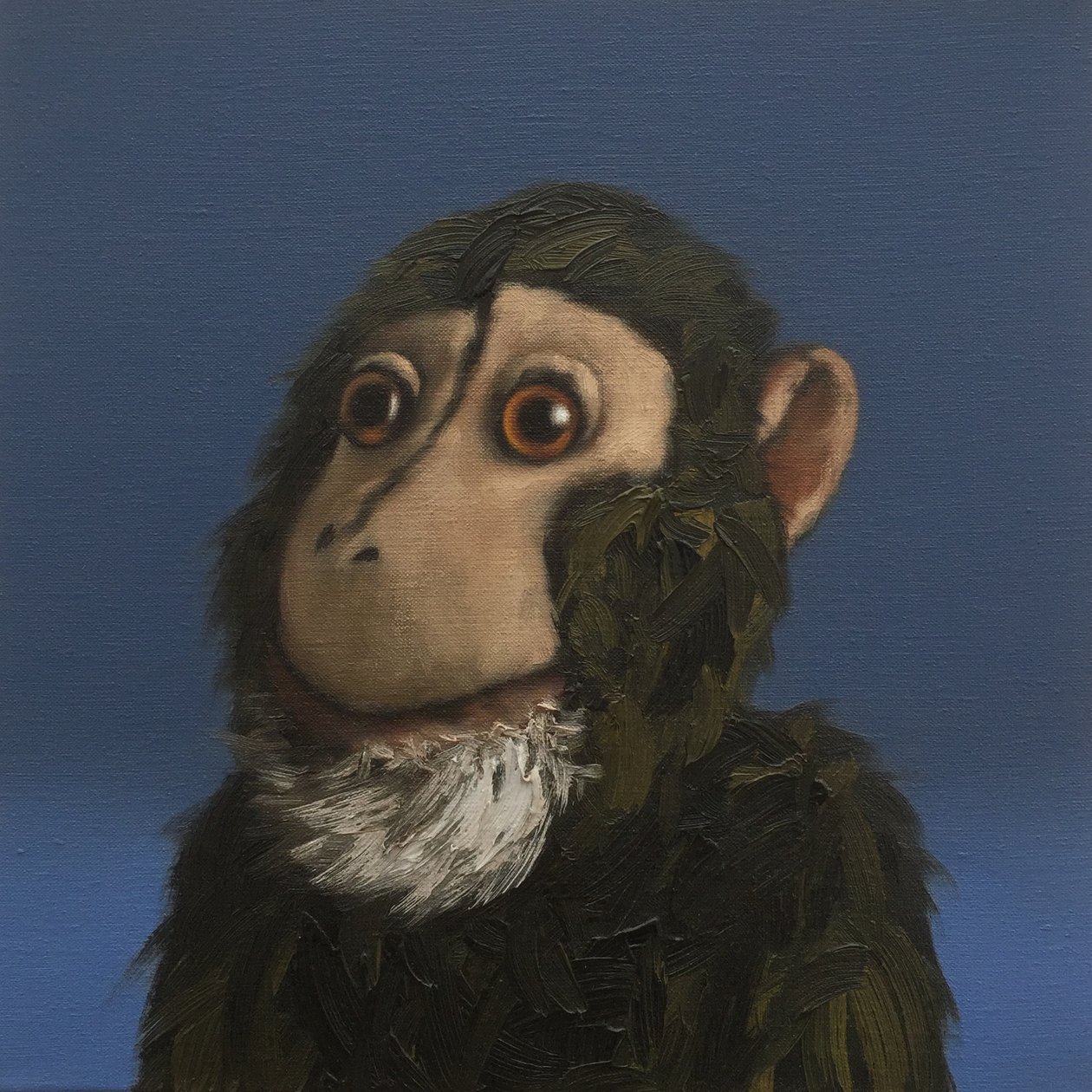 Andy Monkey, 2017 od Peter Jones