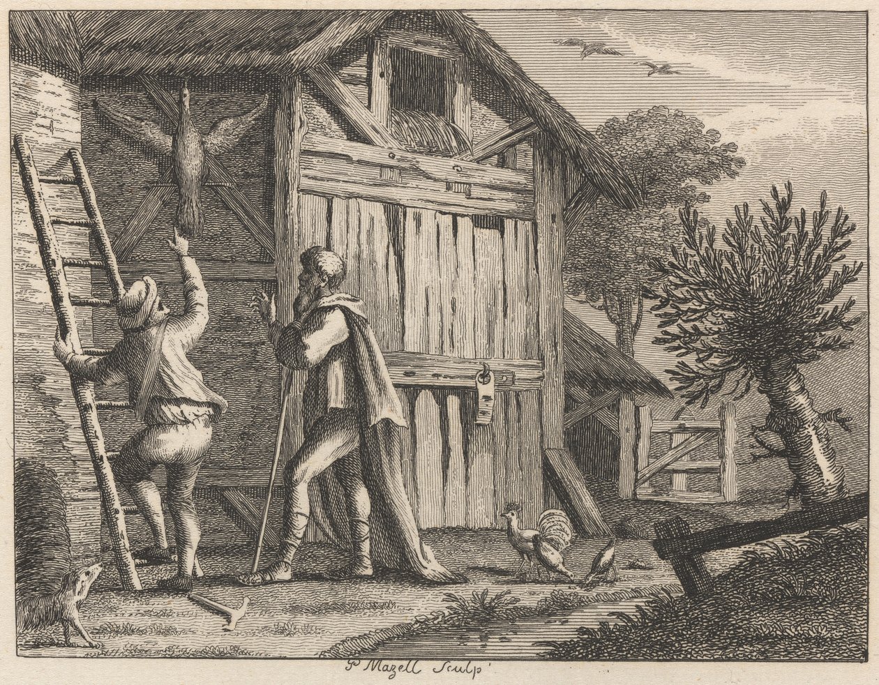 Pythagoras a venkovan od Peter Mazell
