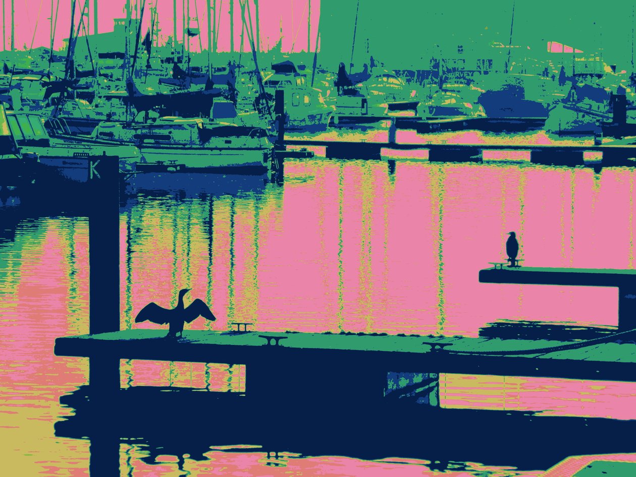 COURT-SHIP HARTLEPOOL, 2014, (digitálně upravená fotografie) od Peter McClure
