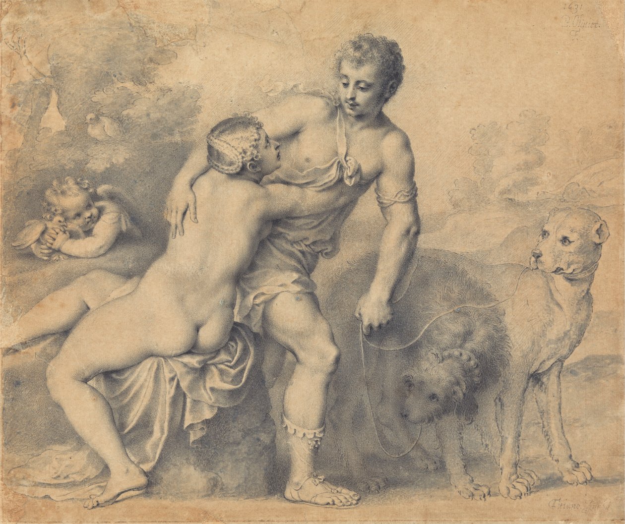 Venuše a Adonis od Peter Oliver